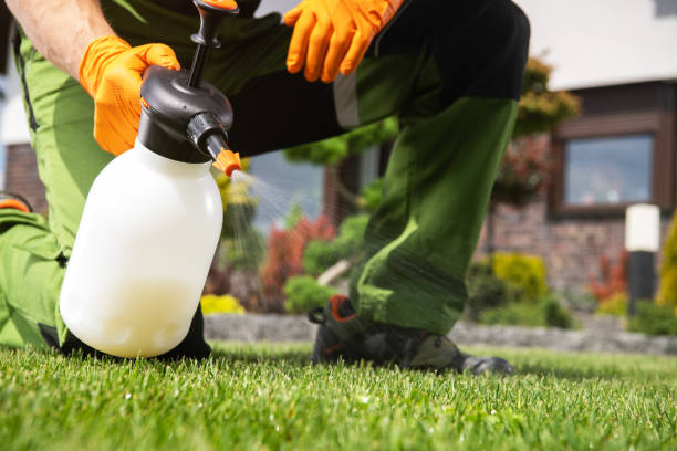 Best Residential Pest Control  in Mooreville, MS
