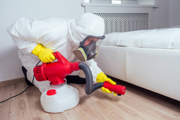 Best Affordable Pest Control Services  in Mooreville, MS