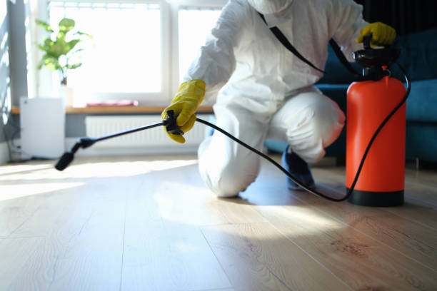 Reliable Mooreville, MS Pest Control Solutions
